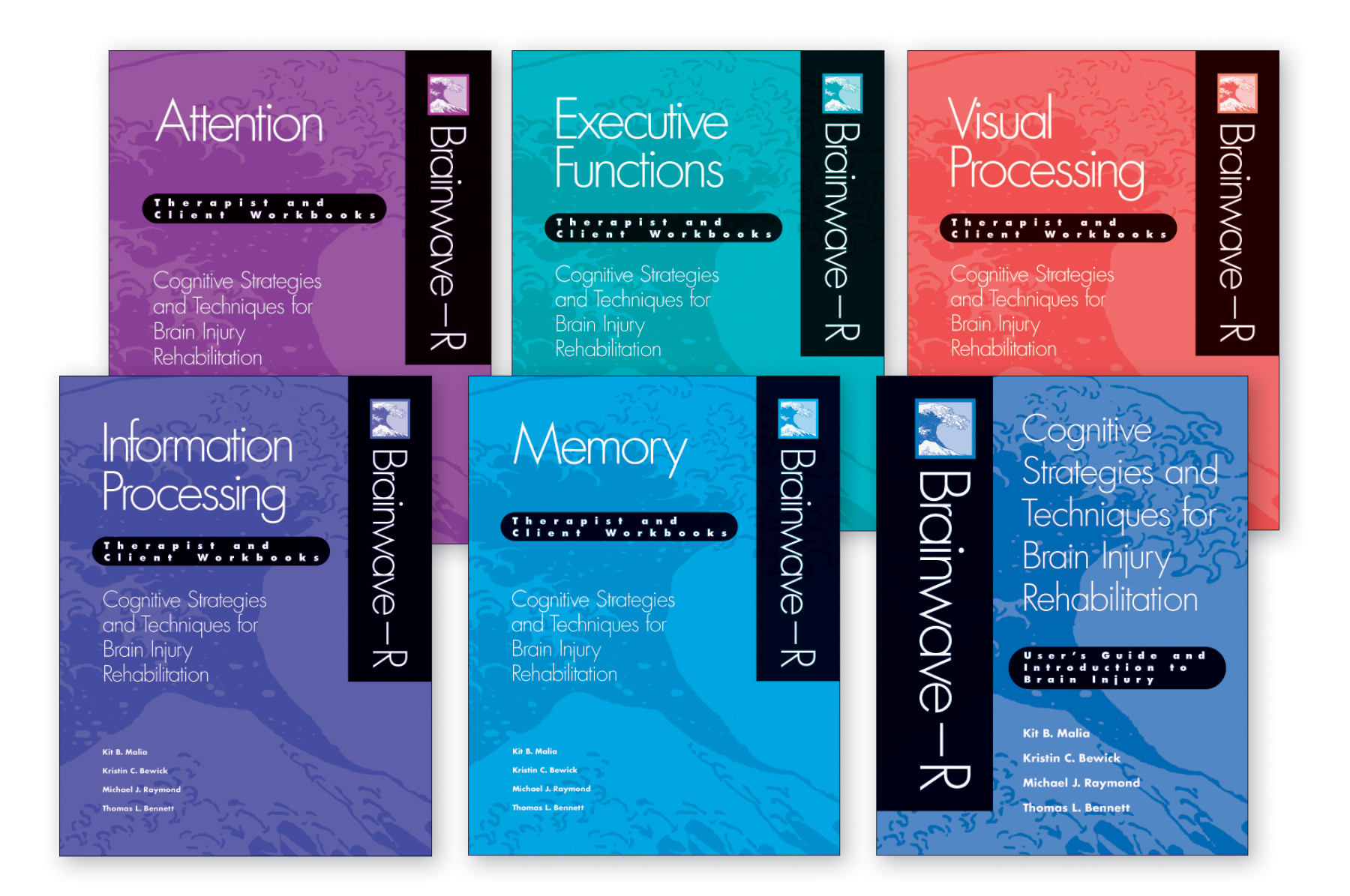Brainwave&ndash;R: Cognitive Strategies and Techniques for Brain Injury Rehabilitation - 